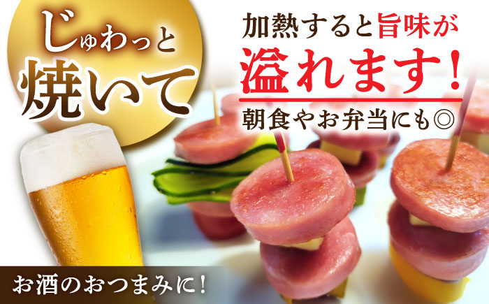 【3回定期便】宮地ハムのロングセラー ボロニアソーセージ 100g×7本 /宮地ハム [UBM011]