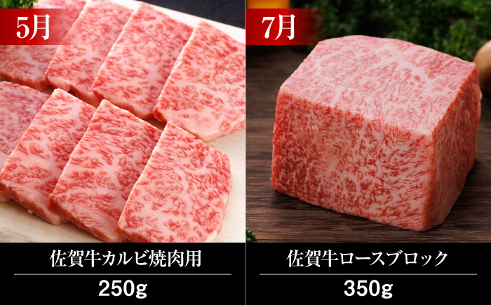 【全12回】 A5ランク 佐賀牛 霜降り 食べ比べ 定期便 約2人前 総計4kg /焼肉どすこい [UCC002] 最高級 牛肉 肉 ステーキ スライス ローストビーフ ハンバーグ