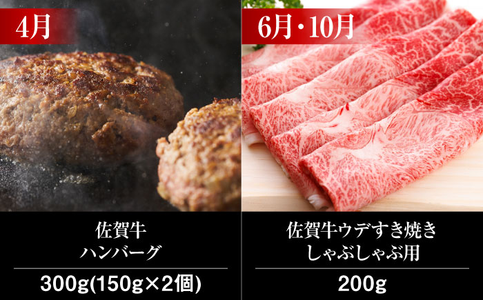 【全6回・偶数月にお届け】 A5ランク 佐賀牛 高級 霜降り 食べ比べ 定期便 約1-2人前 総計1.66kg 隔月発送 /焼肉どすこい [UCC006] 牛肉 肉 ステーキ すき焼き