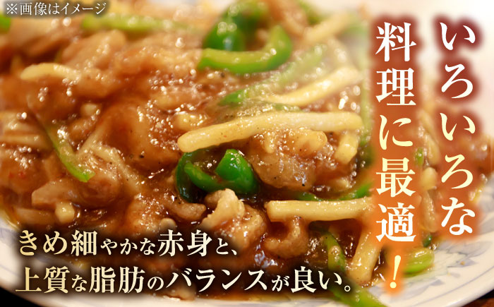 【色んな料理に最適！】A5等級 佐賀牛 切り落とし 670g /焼肉どすこい [UCC011] 牛肉 肉
