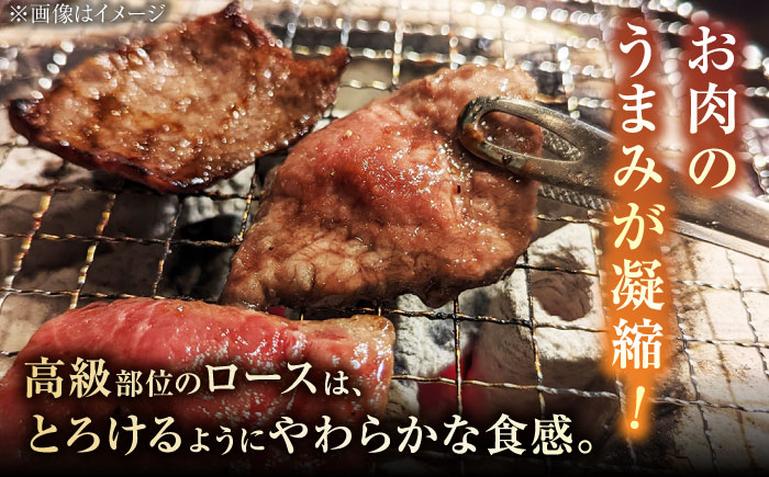 A5ランク 佐賀牛 高級 霜降り 焼肉用 ロース 430g 2人前 /焼肉どすこい[UCC014] 牛肉 肉 BBQ