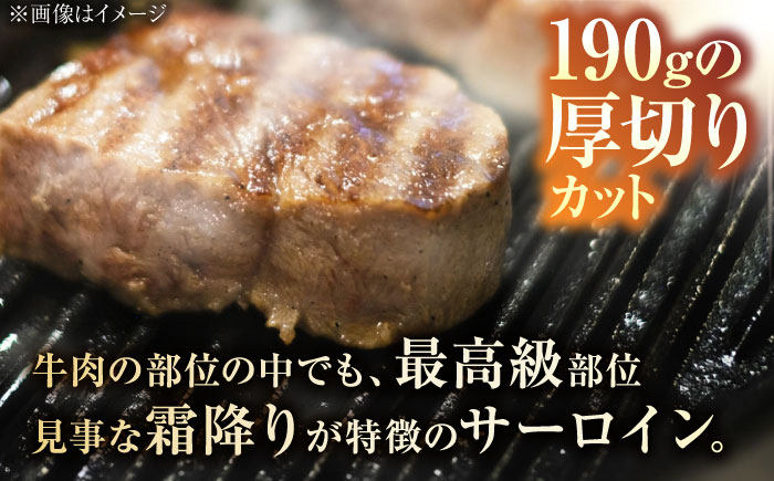 A5ランク 佐賀牛 厚切り サーロインステーキ 380g (190g×2枚) /焼肉どすこい[UCC015] 牛肉 肉 ステーキ ロース
