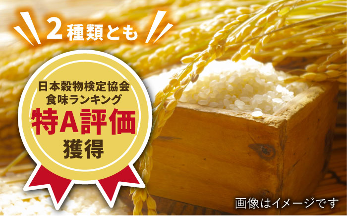 【12月18日入金まで年内発送】【特A米食べ比べ】新米 令和7年産 佐賀米 食べ比べ 10kg（橘産 さがびより 5kg 若木産 夢しずく 5kg）/肥前糧食株式会社【配送エリア限定】 [UCL006] 白米 お米 精米