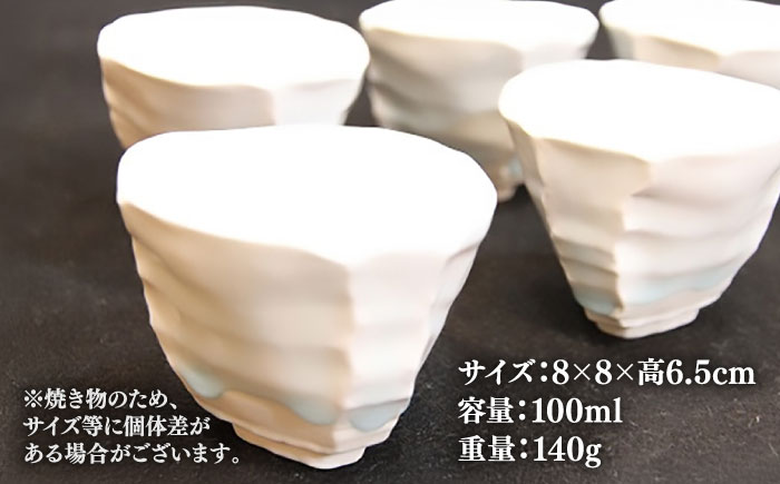 【宝寿窯】 雫しのぎ煎茶セット（5個セット） [UCN007] カップ 湯呑み 食器 やきもの 陶磁器