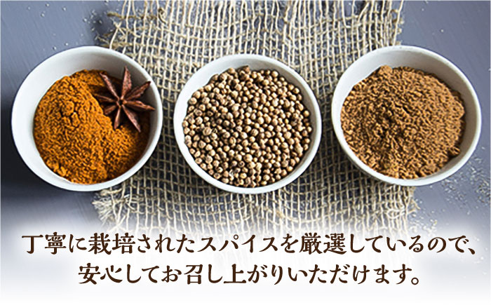 【6回定期便】薬膳スパイスチキンカレー 4食（200g×4） /自然庵 [UCQ005] カレー レトルト 鶏肉 鶏 チキン