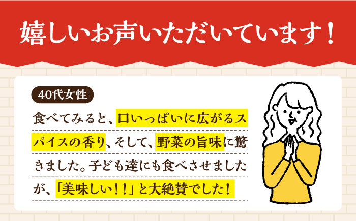 【3回定期便】薬膳スパイスカレー ファミリーセット（チキンカレー 4食 ビーフカレー 4食） /自然庵 [UCQ010] カレー レトルト 鶏肉 鶏 チキン 牛肉 牛 ビーフ
