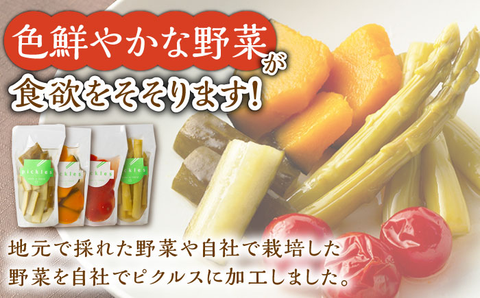 【4回定期便】季節のピクルス 4種セット /おかわりのうえん [UDD004] 漬物 加工品 惣菜 野菜