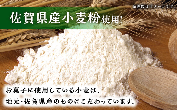 【6回定期便】自家製野菜も使用 パウンドケーキ 3種セット ( チンゲン菜 ココア プレーン ) /おかわりのうえん [UDD011]