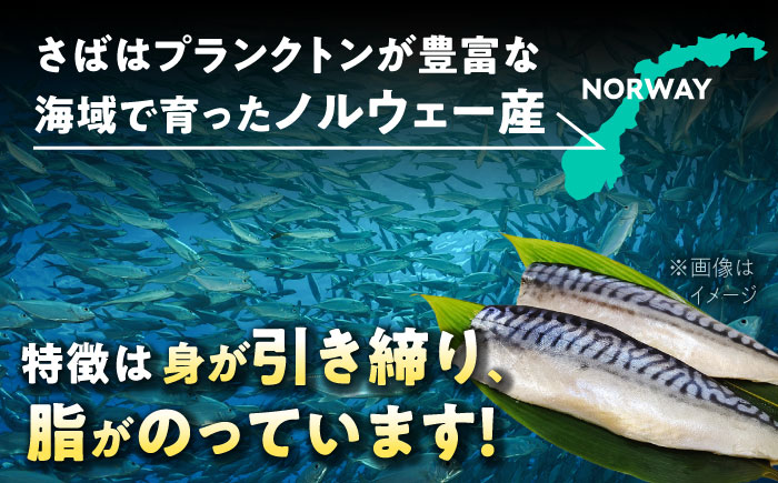 【12月18日入金まで年内発送】【パリふわっ脂がのったサバ！】 炭火焼 トロさば 蒲焼 10枚入 /すみまる [UDH017] 手焼き サバ 鯖 さば 蒲焼き タレ付き