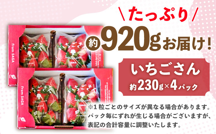 【先行予約】佐賀のブランドいちご いちごさん 約920g（約230g×4p）/中村青果店 [UDK006] いちご イチゴ 苺 果物 フルーツ