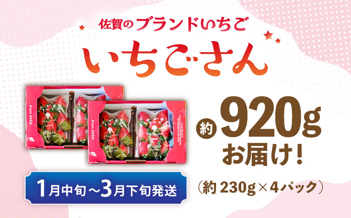 【佐賀のブランドいちご】いちごさん 約920g（約230g×4p）/中村青果店 [UDK009] イチゴ 苺 果物 フルーツ