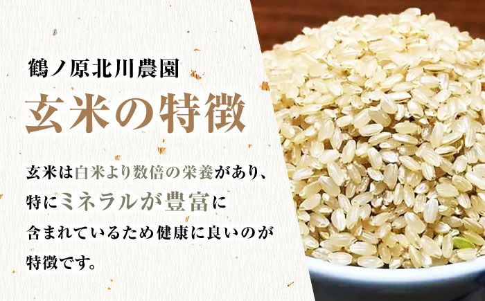 栽培期間中農薬不使用 新米 令和7年産 佐賀県産ゆうだい21 玄米5kg/鶴ノ原北川農園 [UDL024]