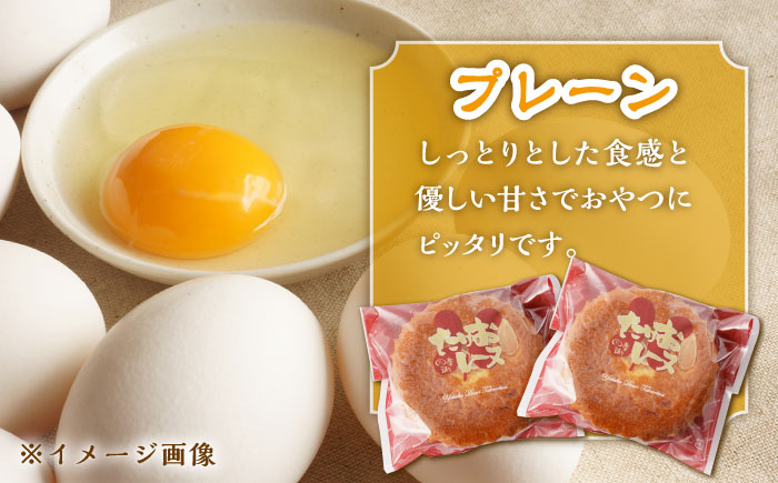 【物産館の大人気マドレーヌ】たけおレーヌ 10個セット /武雄温泉物産館 [UDO001]