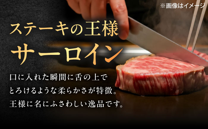 【3回定期便】佐賀牛 サーロインステーキ 300g（300g×1枚） /MKミート武雄 [UEM017]