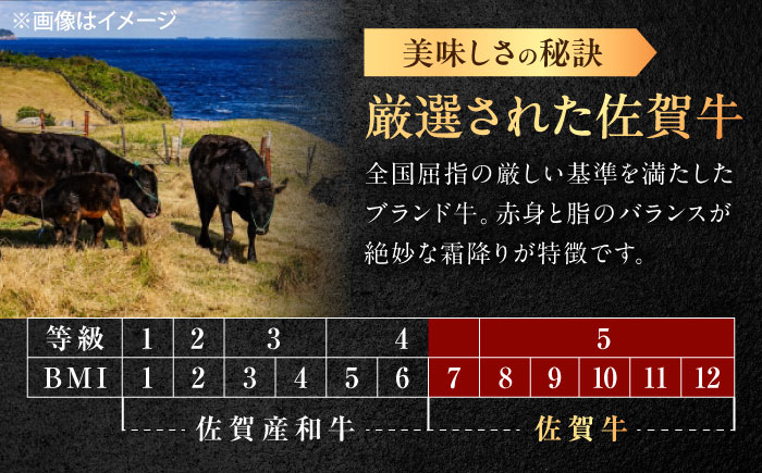 【6回定期便】佐賀牛 ももスライス すき焼き・しゃぶしゃぶ用 400g /MKミート武雄 [UEM046]