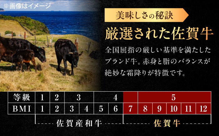 【12回定期便】佐賀牛 ロース 焼肉用 500g /MKミート武雄 [UEM057]