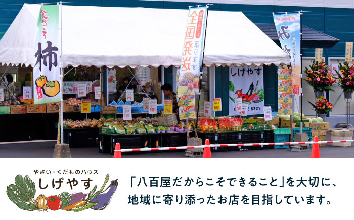 佐賀県産イチゴ「いちごさん」約440g（220g×2パック） /有限会社しげやす [UEQ002]