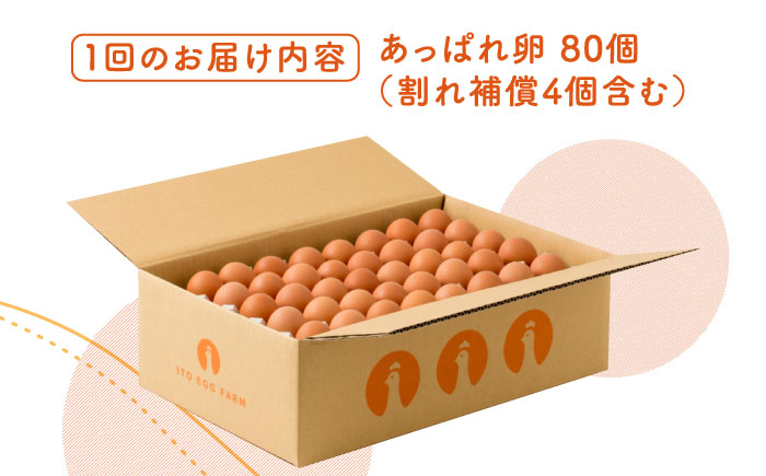 【3回定期便】いとう君ちのあっぱれ卵 80個（76個+割れ補償4個）/いとう養鶏場 [UAQ003] 卵 たまご 鶏卵