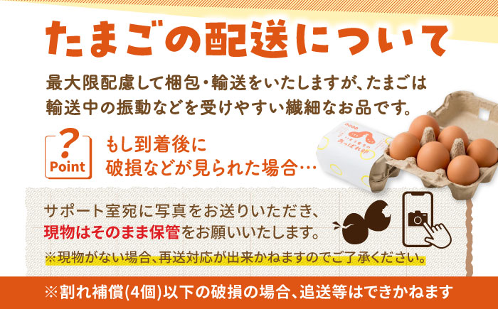 【12回定期便】いとう君ちのあっぱれ卵 80個（76個+割れ補償4個）/いとう養鶏場 [UAQ005]