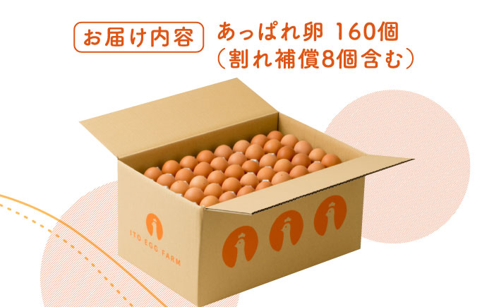 【うみたて新鮮】いとう君ちのあっぱれ卵 160個（152個+割れ補償8個）/いとう養鶏場 [UAQ006]