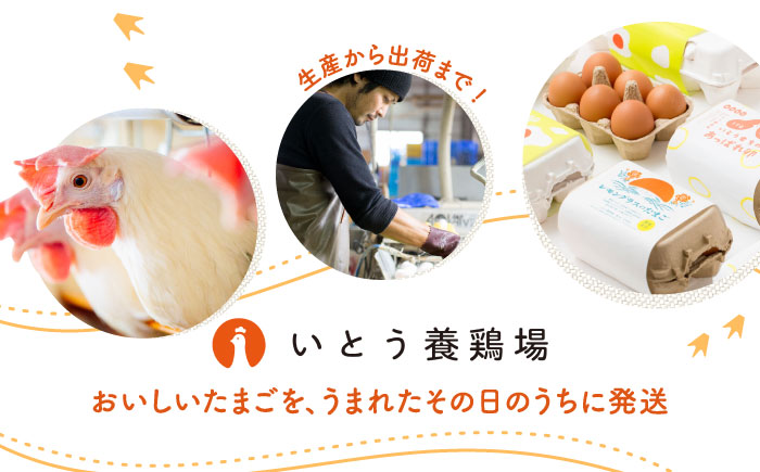 いとう養鶏場の濃厚プリン 6個 /いとう養鶏場 [UAQ008]