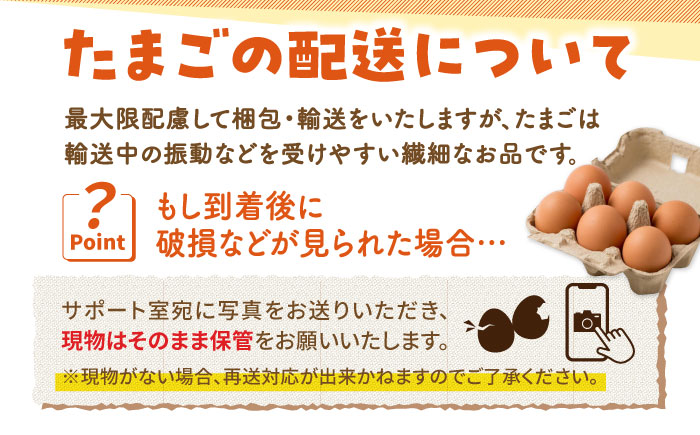 【12回定期便】いとう君ちのあっぱれ卵 24個（6個×4パック）ギフトBOX /いとう養鶏場 [UAQ011] 卵 たまご 鶏卵