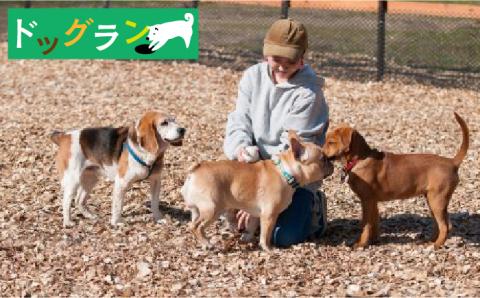 【愛犬と楽しいひと時を！】Cafe 百笑茶屋＆ドッグランで使える共通 チケット /お百笑さん [UAZ002] 体験 食事券 チケット