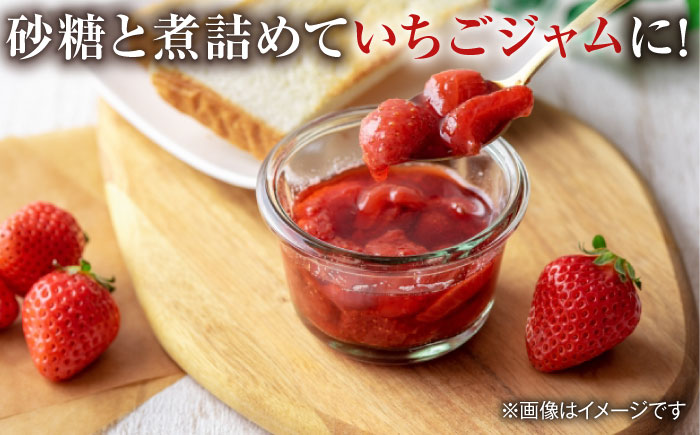 【アレンジいろいろ】冷凍いちごさん 500g /愛まんてん [UBD007] いちご こおりいちご 冷凍いちご 果物 フルーツ