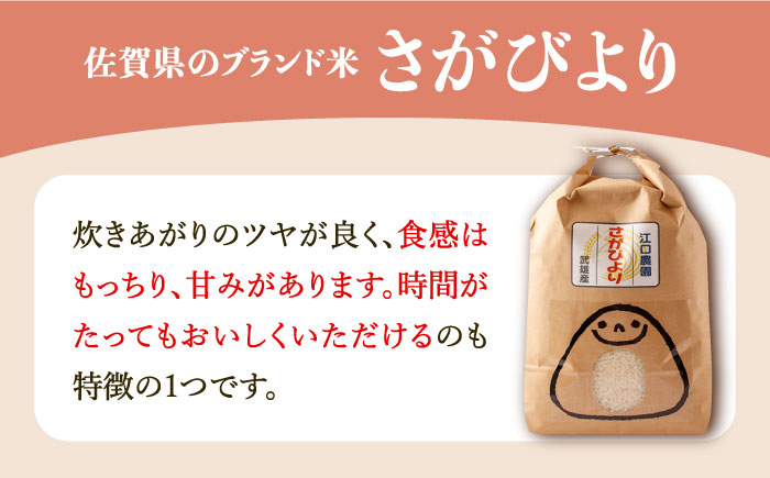 【11月発送開始】【6回定期便】令和6年産 さがびより 白米 5kg＜15年連続特A評価＞ 配送前精米/江口農園 [UBF007] さがびより 白米 米 お米 精米 佐賀県産 特A