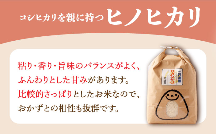 【先行予約】【10月中旬以降順次発送】令和6年産 ヒノヒカリ 玄米 5kg /江口農園[UBF018] 玄米 米 お米 精米 佐賀県産