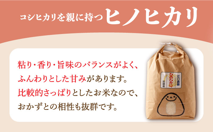 【先行予約】【10月中旬以降順次発送】令和6年産 ヒノヒカリ 玄米 10kg /江口農園[UBF019] 玄米 米 お米 精米 佐賀県産