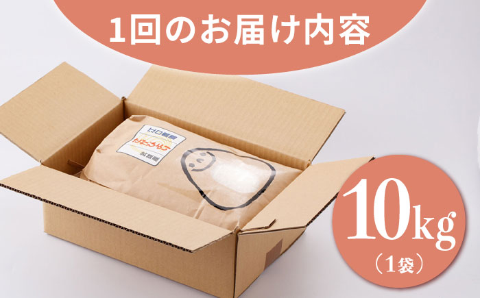 【11月発送開始】【12回定期便】令和6年産 さがびより 白米 10kg＜15年連続特A評価＞ 配送前精米/江口農園[UBF029] 白米 米 お米 精米 佐賀県産 特A