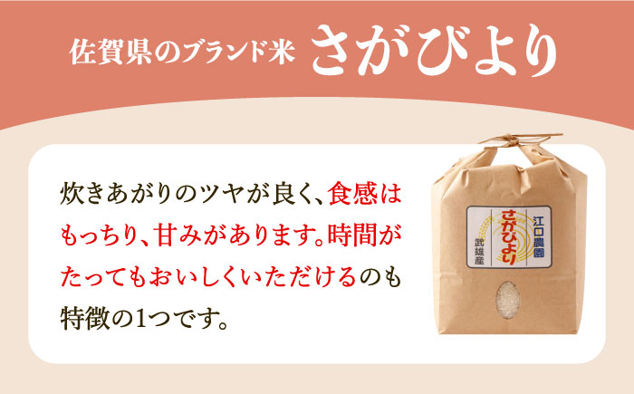 【15年連続最高評価特A受賞】令和6年産 さがびより 無洗米 5kg 特別栽培米 /江口農園 [UBF031]