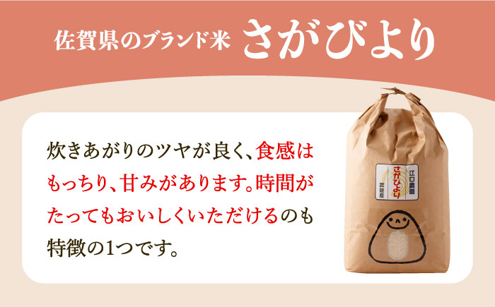 【15年連続最高評価特A受賞】令和6年産 さがびより 無洗米 10kg 特別栽培米 /江口農園 [UBF032]