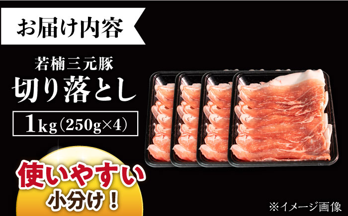 【きめが細かくやわらか～い】 若楠三元豚 切り落とし セット 1kg /ナチュラルフーズ [UBH011] 三元豚 豚肉 豚 肉