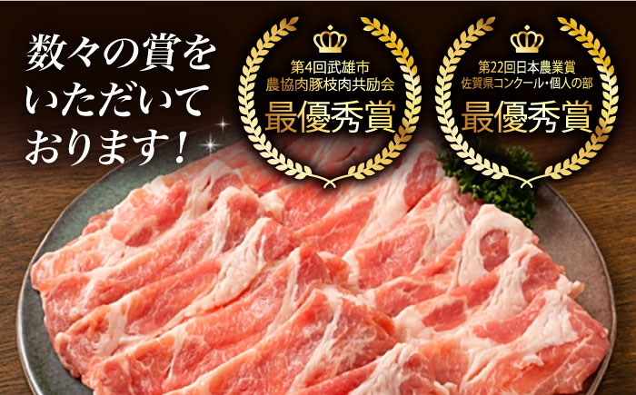 【2026年2月以降発送】【肉汁たっぷり】若楠三元豚ハンバーグ ( 150g × 8個 )/ナチュラルフーズ [UBH050] 豚肉 ハンバーグ