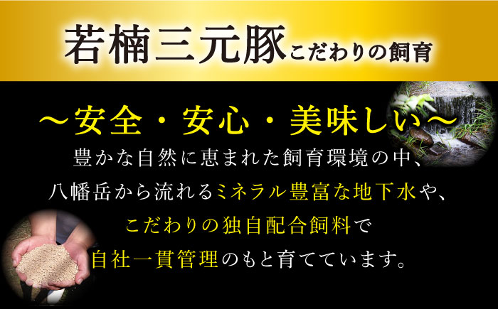 【2026年2月開始】【3回定期便】若楠三元豚 切り落とし 1kg（250g×4パック）/ナチュラルフーズ [UBH074]