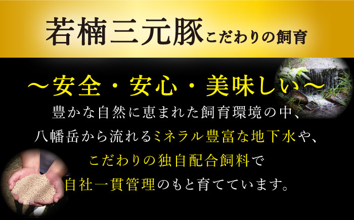 佐賀牛と若楠三元豚のハンバーグ 食べ比べセット 計4個（2種×2個）/ナチュラルフーズ [UBH081]
