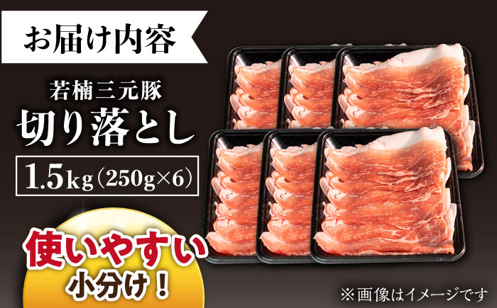 若楠三元豚 切り落とし 1.5kg（250g×6p）/ナチュラルフーズ [UBH123]