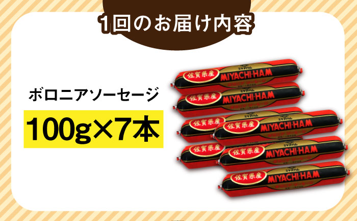 【12回定期便】宮地ハムのロングセラー ボロニアソーセージ 100g×7本 /宮地ハム [UBM013] 豚肉 豚 肉 ソーセージ