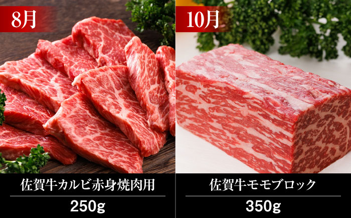 【全12回】 A5ランク 佐賀牛 霜降り 食べ比べ 定期便 約2人前 総計4kg /焼肉どすこい [UCC002] 最高級 牛肉 肉 ステーキ スライス ローストビーフ ハンバーグ