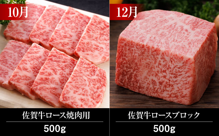 【全12回】 A5ランク 佐賀牛 霜降り 食べ比べ 定期便 約2-3人前 総計6.8kg /焼肉どすこい [UCC004] 最高級 牛肉 肉 ステーキ スライス ローストビーフ 焼肉