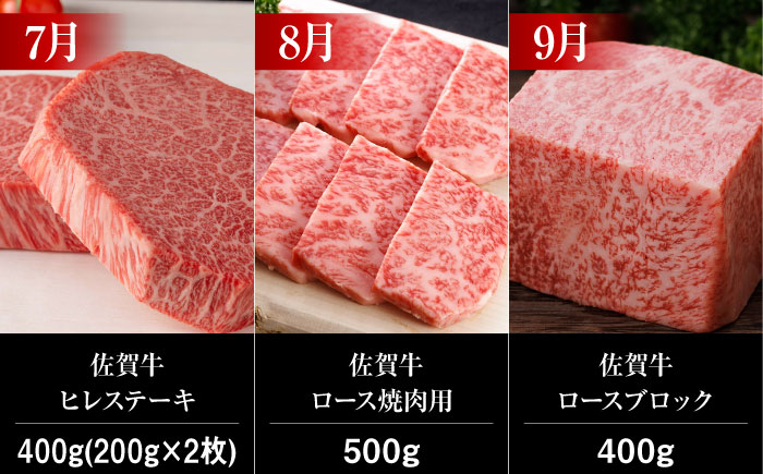 【全12回】 A5ランク 佐賀牛 霜降り 食べ比べ 定期便 約2-3人前 総計5.52kg /焼肉どすこい [UCC005] 最高級 牛肉 肉 ステーキ スライス ローストビーフ 焼肉