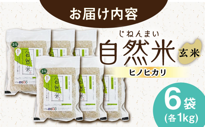 栽培期間中 農薬・化学肥料不使用 令和7年産 新米 自然米 玄米 6kg（ヒノヒカリ 1kg×6袋）/自然庵 [UCQ025]