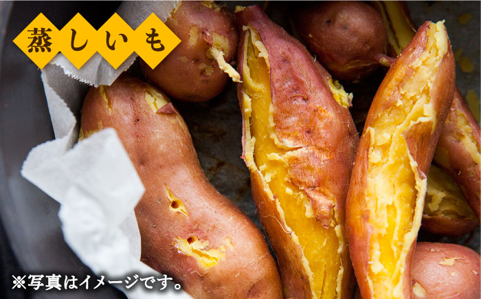 佐賀県武雄市産 さつまいも 紅はるか 約5kg /おかわりのうえん [UDD001] 芋 いも サツマイモ