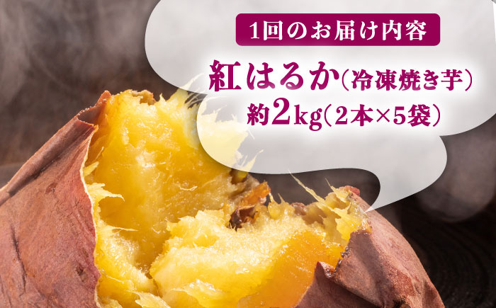 【2回定期便】佐賀県武雄市産 さつまいも 紅はるか 冷凍 焼き芋 2kg（2個入×5袋） [UDD017]