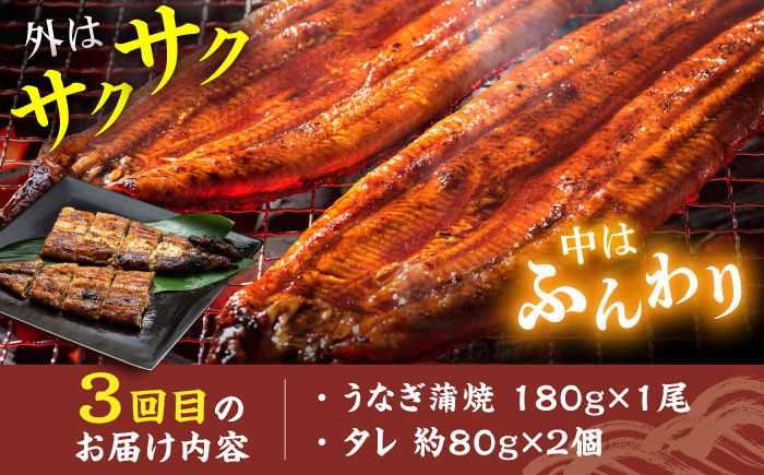 【3回定期便】炭火焼堪能 月替わり定期便（うなぎ蒲焼き トロさば やきとり）/すみまる [UDH080]