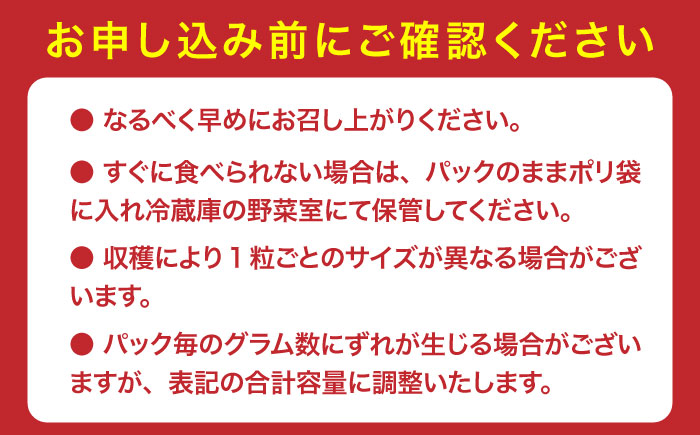 【佐賀のブランドいちご】いちごさん 約920g（約230g×4p）/中村青果店 [UDK009] イチゴ 苺 果物 フルーツ