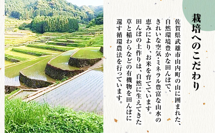 栽培期間中農薬不使用 新米 令和7年産 佐賀県産 伊勢ヒカリ（イセヒカリ） 玄米 5kg /鶴ノ原北川農園 [UDL003]