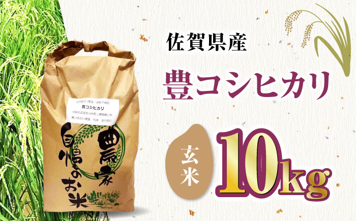栽培期間中農薬不使用 令和6年産 豊コシヒカリ 玄米 10kg 武雄市/鶴ノ原北川農園 [UDL016]